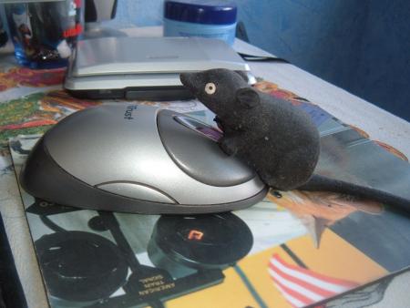 mouse